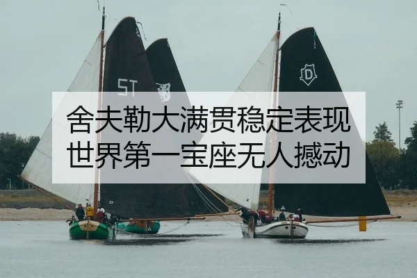舍夫勒大满贯稳定表现 世界第一宝座无人撼动